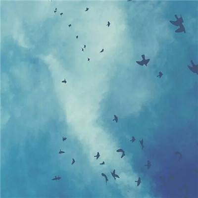 好运彩下载手机版